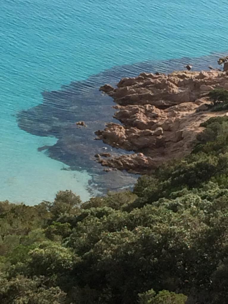 location villa santa giullia