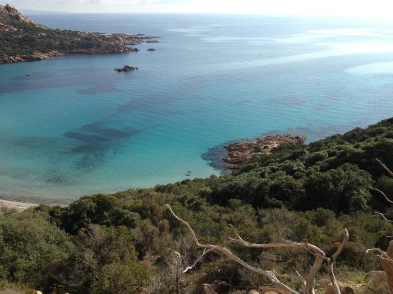 activités à porto-vecchio